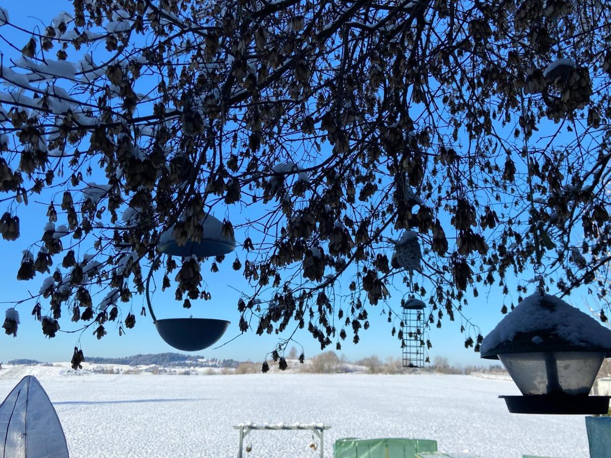 Das Blaue Haus - Ein Sommertraum Und Ein Wintermaerchen Weiler-Simmerberg Dış mekan fotoğraf
